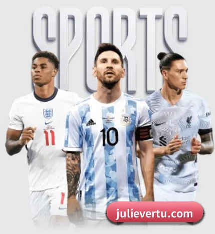 mksports体育 APP